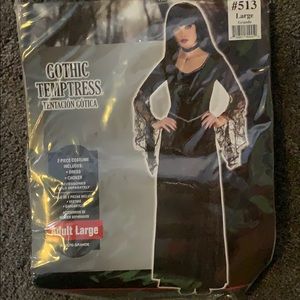 Gothic Temptress Halloween Costume